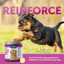Vetericyn All-in Bone and Joint Dog Supplement for Puppy 90 Tablets 7.3 oz. Vetericyn
